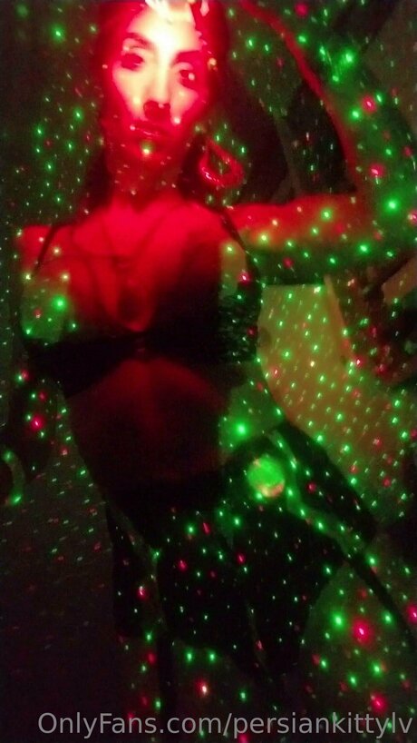 Persiankittylv actrice collection
