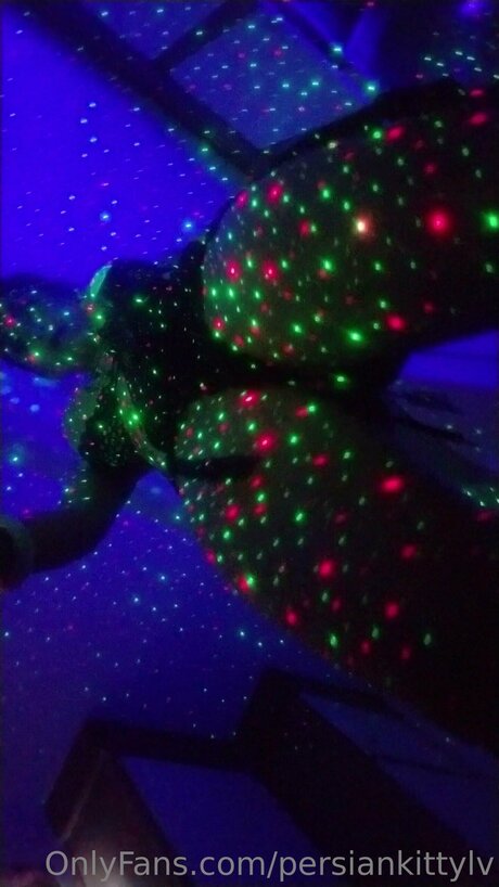 Persiankittylv étoile sympa images