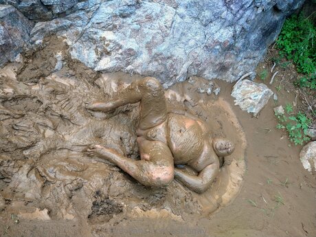 Ssbbgay star du porno collection