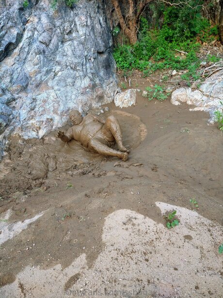 Ssbbgay star du porno érotique images