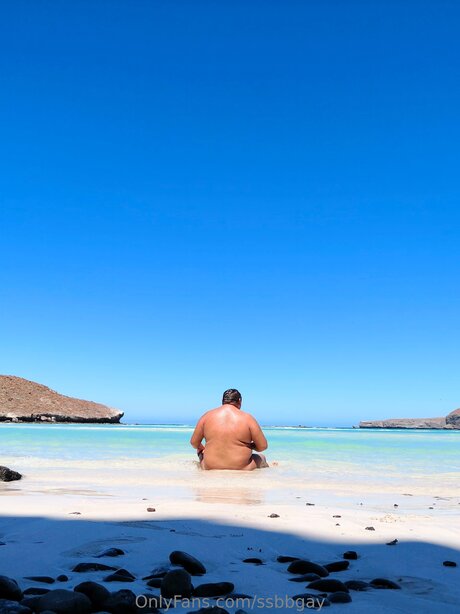 Ssbbgay nus de stars du porno collection