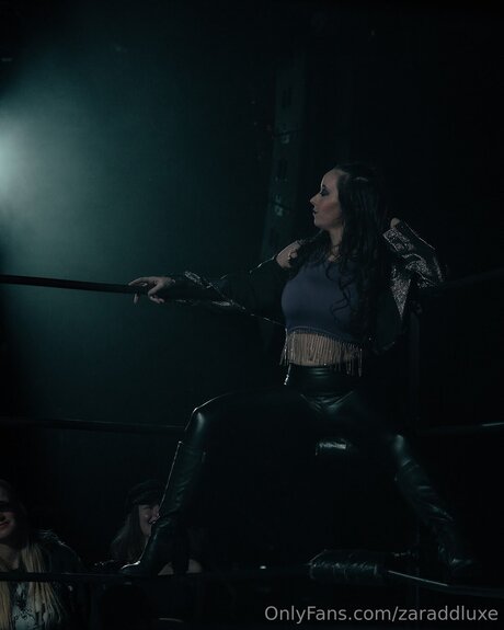 Zaraddluxe modèle archive