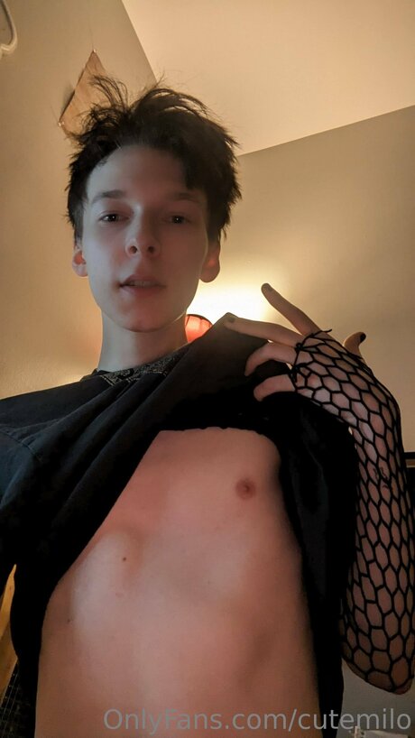 Cutemilo étoile hd galeries