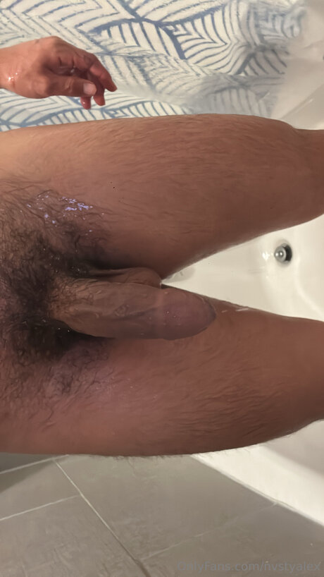 Nvstyalex étoile gratuite image