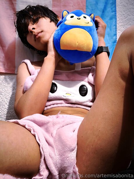 Artemisabonita étoile gratuite image