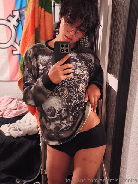 Artemisabonita étoile magnifique photo