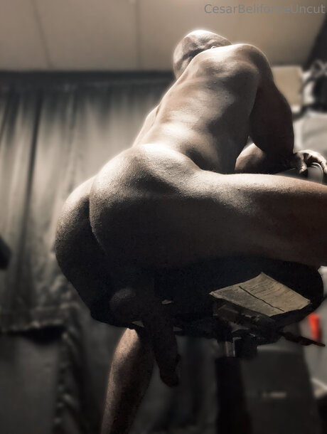 Cesarbelifonteuncut star du porno gratuit archive