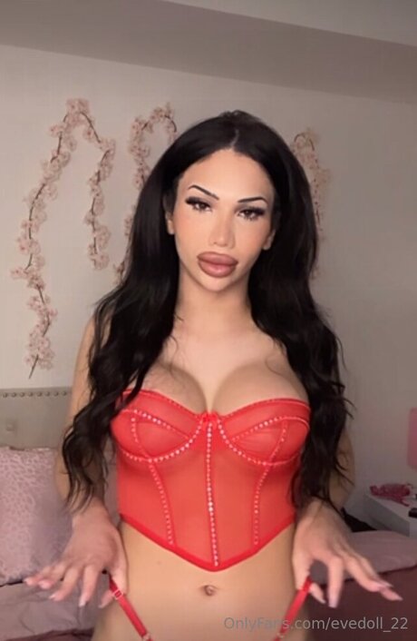 Evedoll 22 star du porno sexy galerie