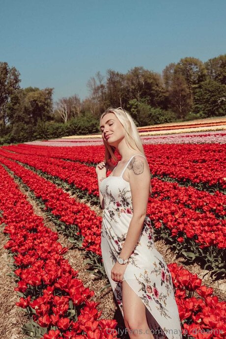 Maya Dreamx meilleur modèle galerie