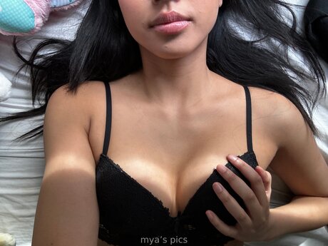 Myaarawrr étoile hd des photos