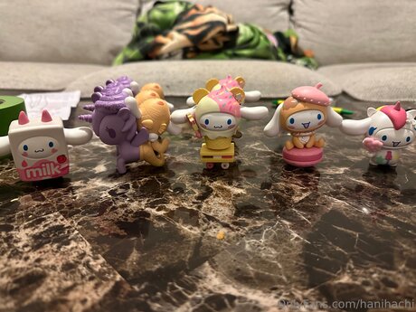 Hanihachi beau modèle image