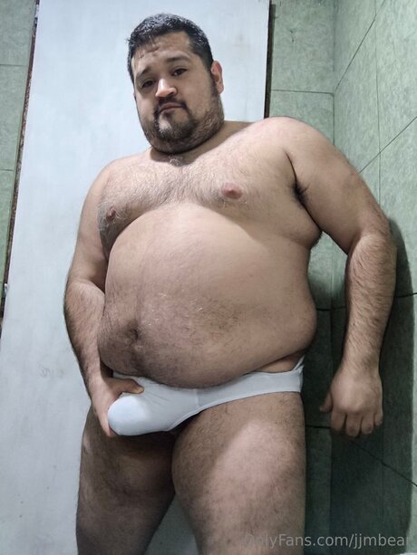 Jjmbear modèle archive