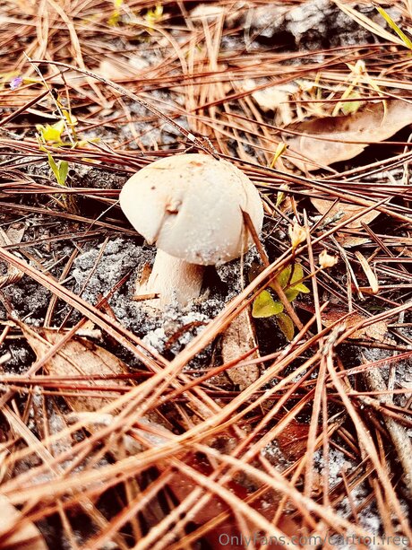 Cdrtroi Free art modèle photo