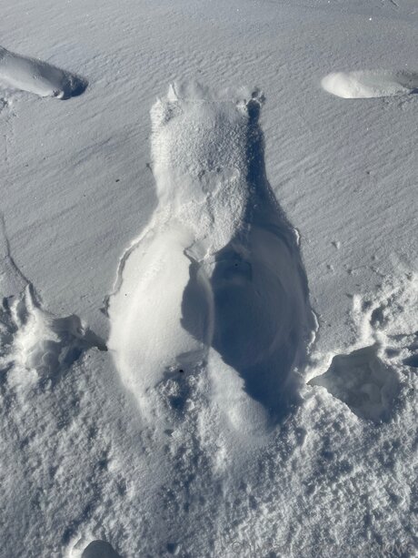 Sexiniowa étoile gratuite galeries