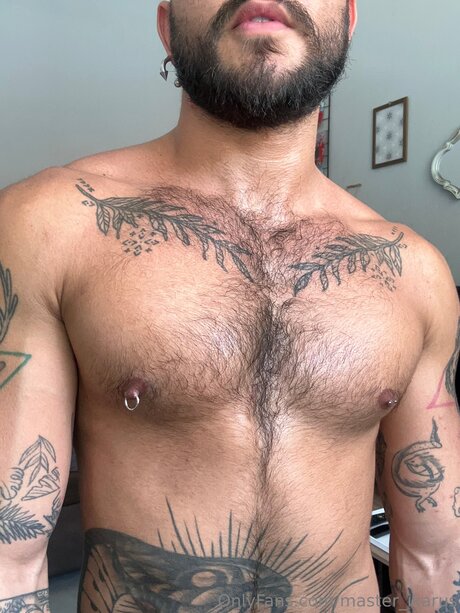 Master Ikarus art de star du porno image