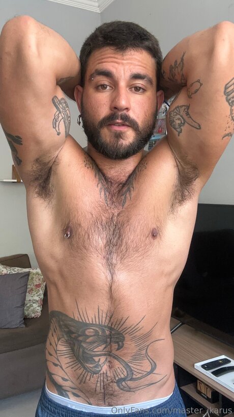 Master Ikarus modèle meilleur image