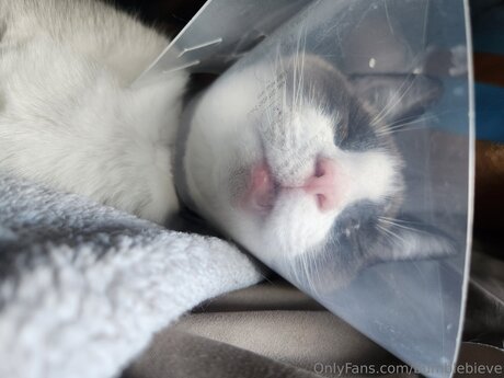 pieds sales onlyfans pornographique adulte photos