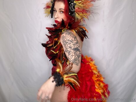 Yourscarletharlotxxx star du porno de haute qualité image