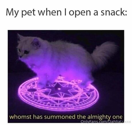 Dahlialuxxx star du porno nue collection