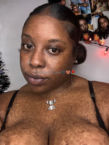 Freckledfantasy5 art de star du porno collection