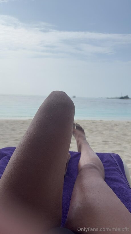 Mielxfit meilleur modèle image