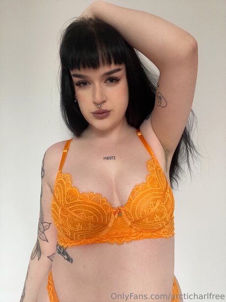 Otherarcticharl haut de star du porno galerie