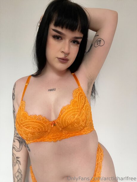 Otherarcticharl étoile parfaite photos