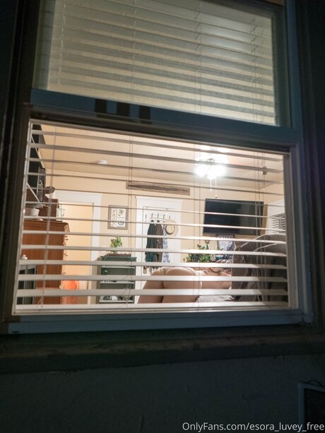 les fans débène les plus chauds parfait chaud images