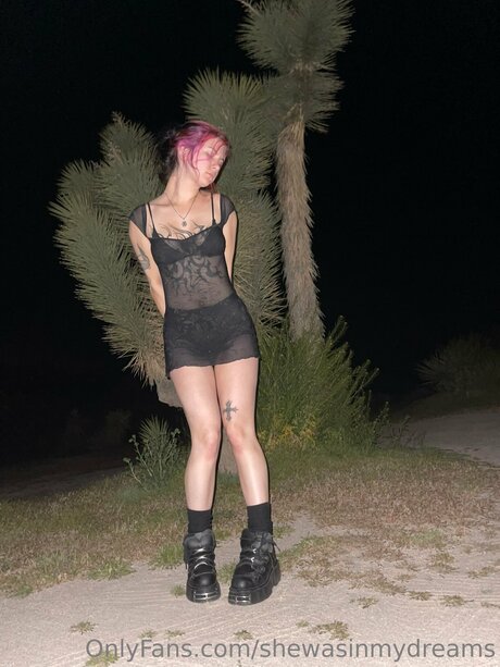 Shewasinmydreams étoile nue galeries