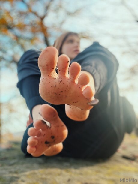 Miomio Uwu modèle collection