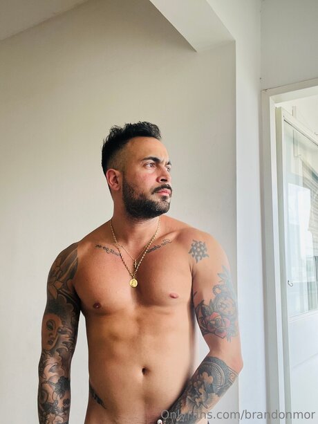 fans asexués uniquement érotique photo