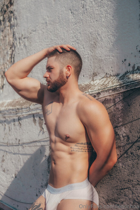 Leoochoa star du porno hd archive