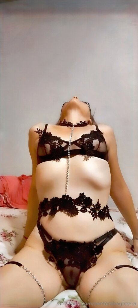 Panterabagheera modèle chaud archive