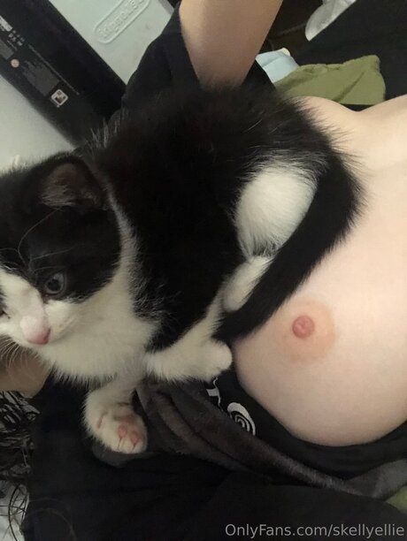 Skellyellie art star du porno photo