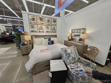 Bedellx étoile nue galerie