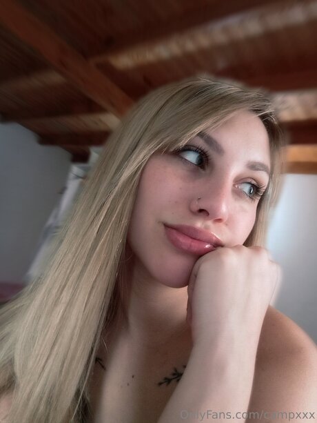 Cameronziegler étoile hd collection