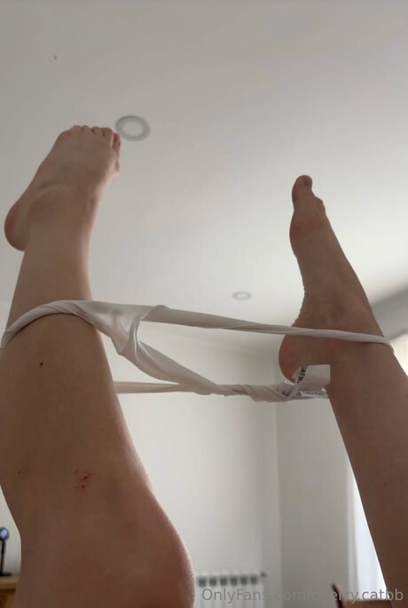 Cherry Catbb star du porno exclusive img