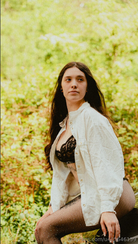 U405646159 étoile hd galeries