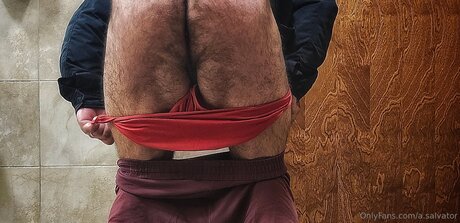 A Salvator haut de star du porno collection