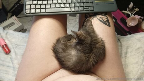 Lafemmefatale666 star du porno hd galerie