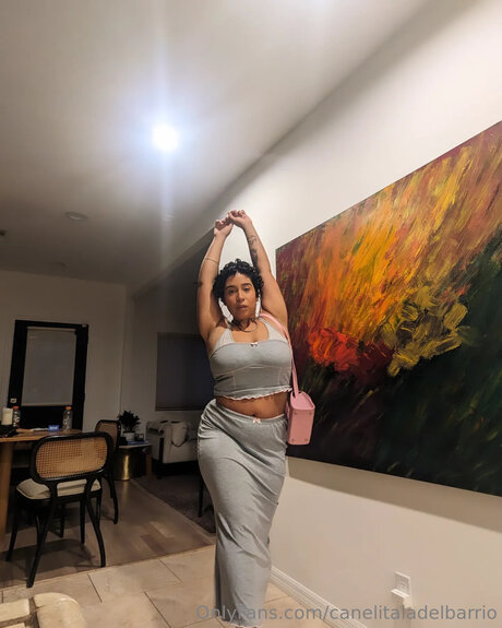 Canelitaladelbarrio nus étoiles archive