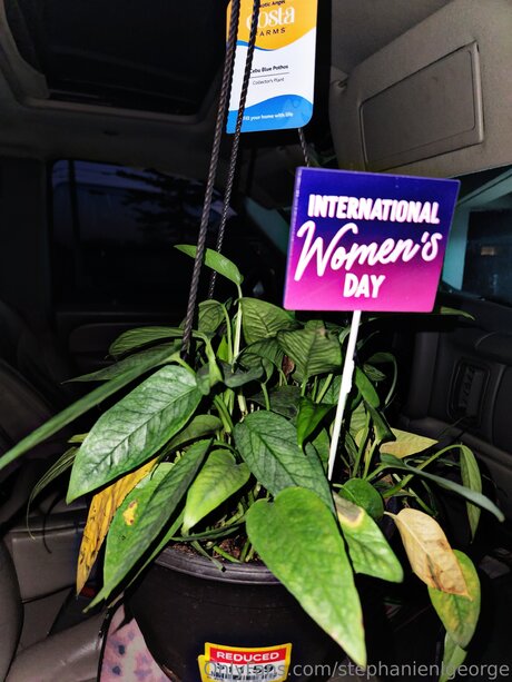 Stephanienlgeorge haut étoile photos