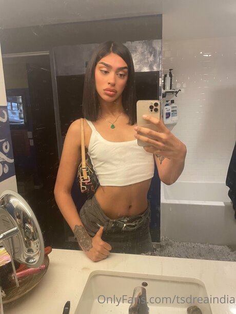 Tsdreaindia sexe de star du porno photos