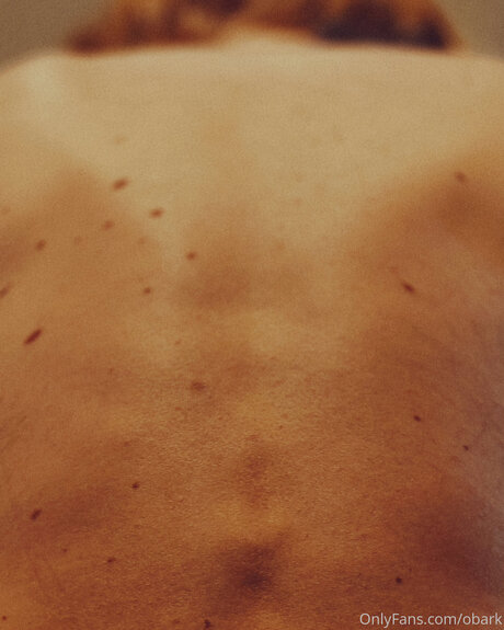 Obark haut étoile galeries