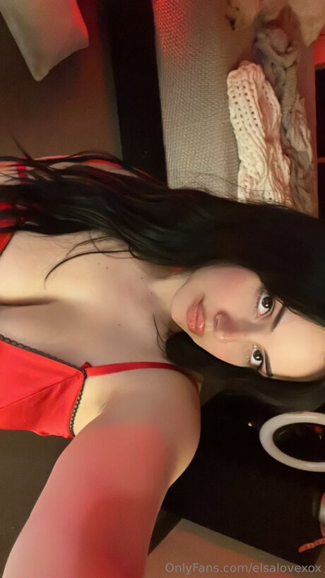 Elsalovexox étoile adulte image