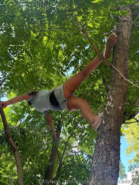 Missbadteacheracademy haut modèle image