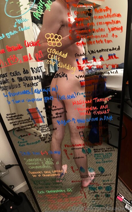 Texastwnk star du porno parfaite image