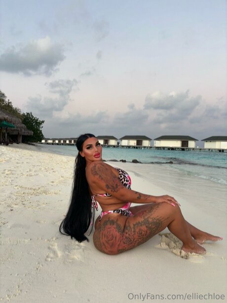 Elliechloe étoile xxx images