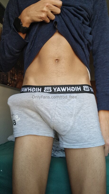 Rod Free étoile de l'art img