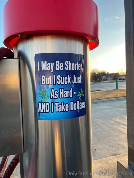 Bsecret2019 meilleure star du porno photos